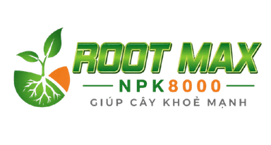 MAX 8000