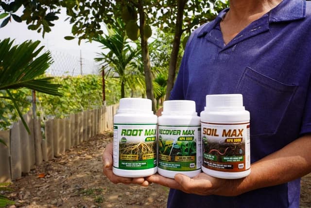 Hồi sinh vườn cây suy kiệt cùng MAX8000: Tại sao bộ rễ là chìa khóa của năng suất?