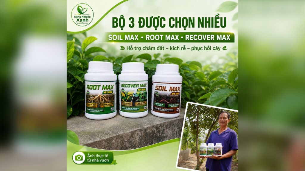 MAX 8000 review - đánh giá bộ phân bón NPK 8000 từ nhà vườn